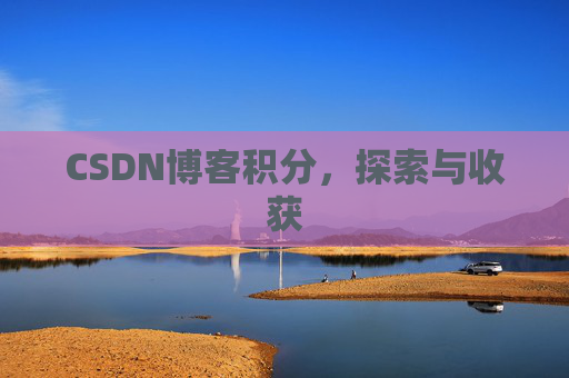 CSDN博客积分,探索与收获
