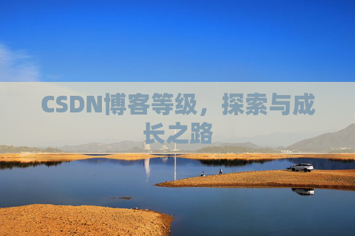 CSDN博客等级,探索与成长之路
